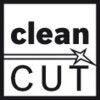 T101 AO Clean for Wood Jigsaw Blades - 2 608 630 031 Pk-5 thumbnail-3