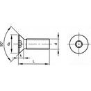 Machine Screw, Metric - Steel - BZP (Bright Zinc Plated) - Grade 4.8 - Torx countersunk - DIN 965 thumbnail-1