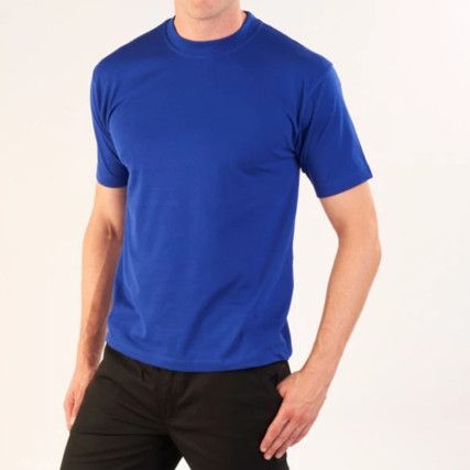 Goshawk, T-Shirt, Unisex, Blue, Cotton/Polyester, Short Sleeve, XL