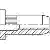 M10 STEEL LARGE HEAD KNURLED RIVET NUT (BOX-100) thumbnail-0
