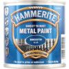 Direct to Rust Smooth Blue Metal Paint - 250ml thumbnail-0