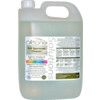 FULL SPECTRUM CLEANER CONCENTRATE 5LTR & EMPTY SPRAY BOTTLE thumbnail-1
