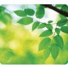 5903801 Earth Series Recycled Mouse Pad-Leaves thumbnail-0