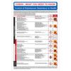 Know Your Dangerous Substances Rigid PVC Wall Guide - 420 x 600mm thumbnail-0
