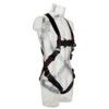 Protecta Harness, 2 Harness Points 140kg, Max. User Weight M/L thumbnail-1