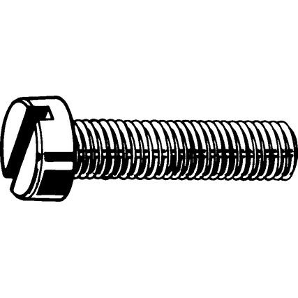 M5x20 SLOTTED CHEESE HEAD SCREW A4