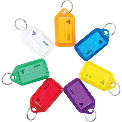 Key Tag, Plastic, Assorted, 56 x 30mm, Pack of 100