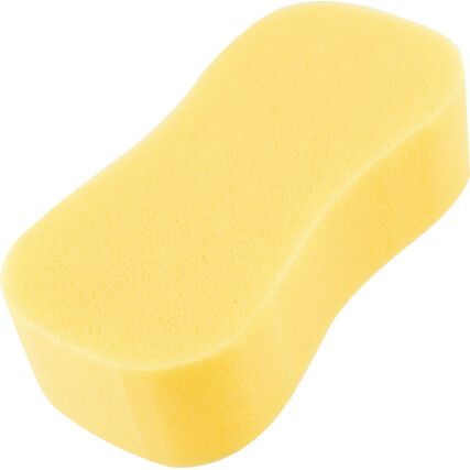 Yellow Jumbo Sponge
